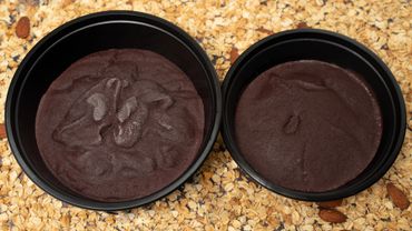 Açai bowls large and small