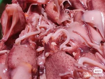 Japanese baby squid. Hotaru Ika, very fresh and tender.