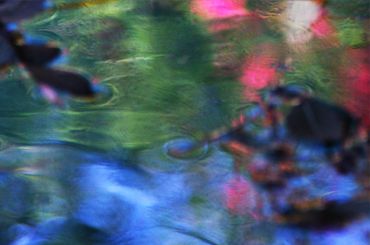 SFPH003 - Windy Pool - Granada Hills, CA, 2020
8"x10" $250
11"x14" $350
16"x20" $450
Matte Optional