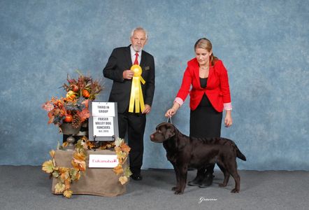 GCh. Soundviews The Gentle Queen (Kodi)
Sire-American Grand Champion Mocossin Joe-#1 lab at the West