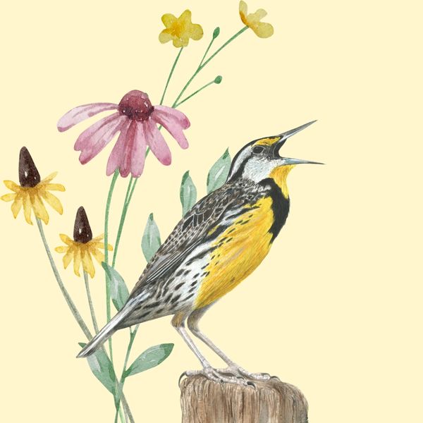Watercolor painting of a singing yellow and black bird on a wooden post with flowers.
