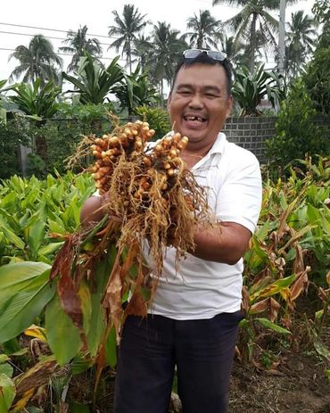 fresh harvests that make you smile