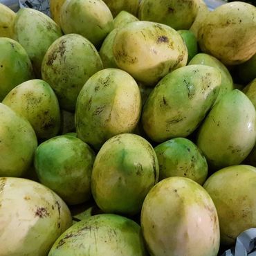 Mangoes