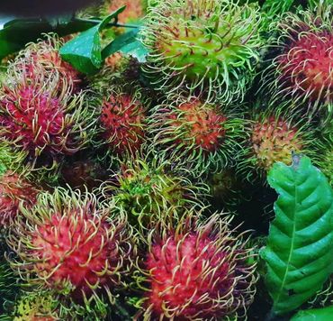 Rambutan