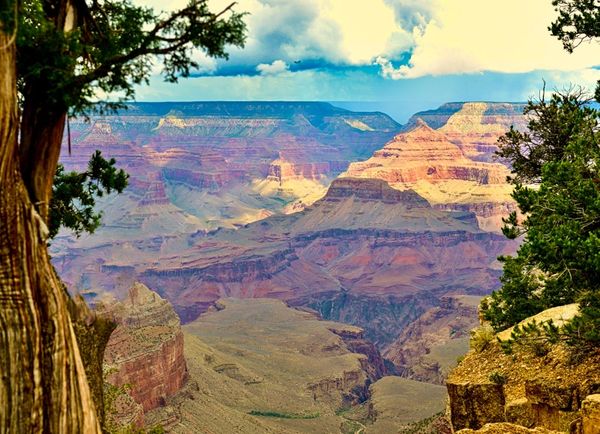 A stunning view of the Grand Canyon with colorful rock formations and trees framing the scene.