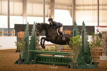 Equestrian rider jumping a dark horse over a green obstacle indoors.