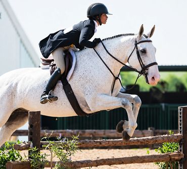 Equestrian rider and white horse mid-jump over wooden hurdle.