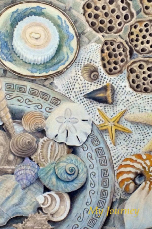 Shell Bowl With Lotus Journal by Cindy Rhodes