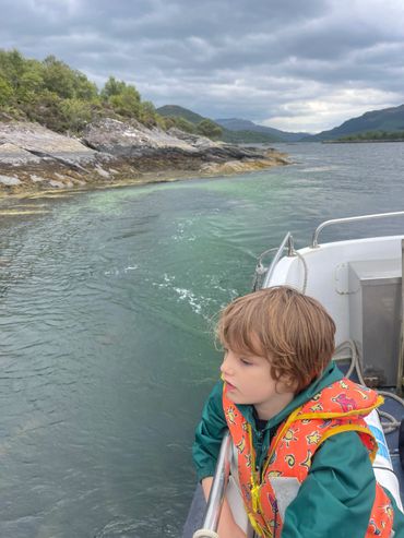 Watching porpoises and going fishing with Ardnamurchan Charters on Loch Sunart
