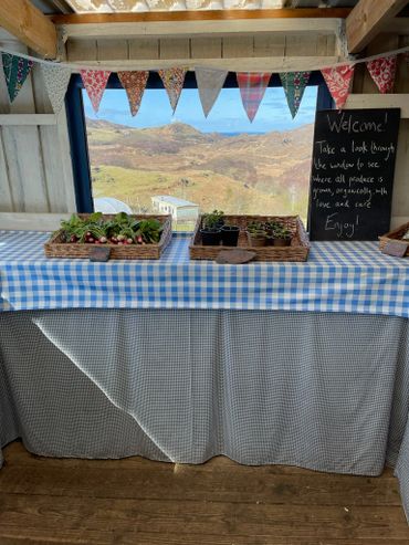 The West Ardnamurchan Community Garden honesty shop with fresh fruit and vegetables