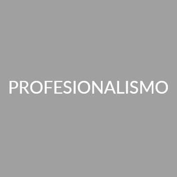 PROFESIONALISMO