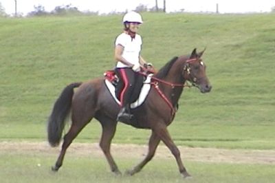 Elizabeth & Jagermeister Ft Worth Ride