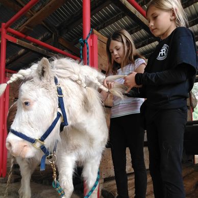 two kids are playing with pony