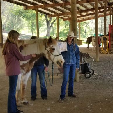 group of people playing with horse