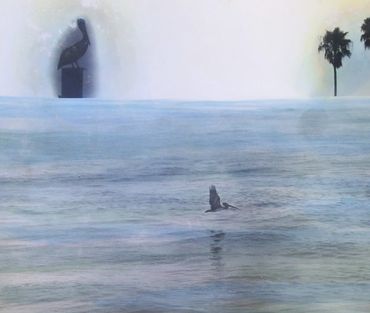 Loren Ellis Bird in Flight with Pelican Watch 2013 33" x 40" (83x101cm)  page 41