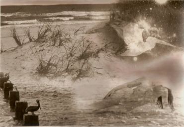 Loren Ellis Star Constellation The Sea & Figure Pelican 5x7" (13x18 cm)  page 19 #2