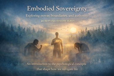 Silhouettes symbolizing emotional states with a glowing figure in a misty forest at sunset.