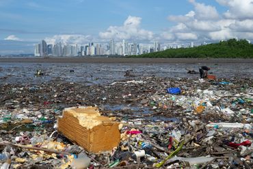 A polluted shoreline with trash and a person cleaning, city skyline in background.