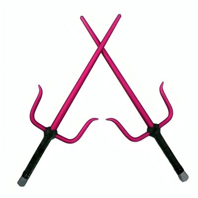 Sai- Martial Arts Weapons Training in Delhi