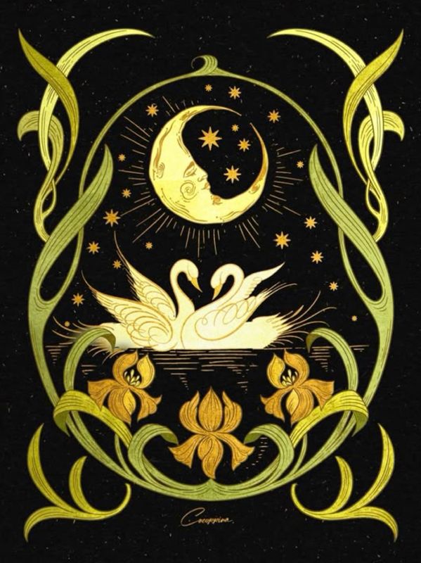 Artistic illustration of swans under a crescent moon with stars and floral accents.