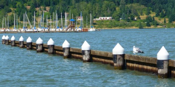 Image of breakwater leading into marina.