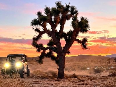 RZR and Big Joshua tree with Beautiful Sunset