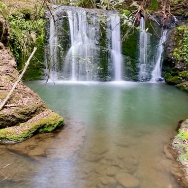 A serene waterfall flowing into a clear, pool surrounded by moss and trees.