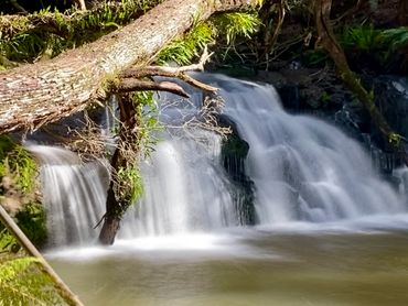 A tranquil waterfall flowing over rocks surrounded by lush greenery.