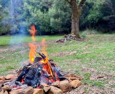 A campfire burning brightly in a forest clearing.