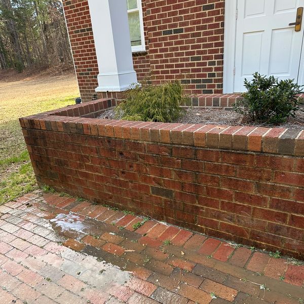 Brick planter with heavy growth before wash.