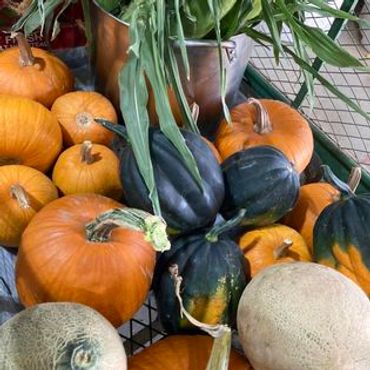 A variety of pumpkins, gourds, and cantaloupes displayed together.