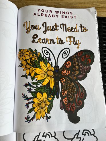 Example colouring by coaching client