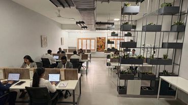 Modern office with employees working at desks separated by partitions and decorative plants.