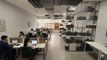 Modern office with employees working at desks separated by partitions and decorative plants.