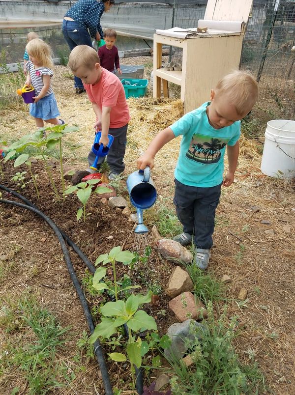 the garden at Guadalupe Montessori School in Silver City, NM