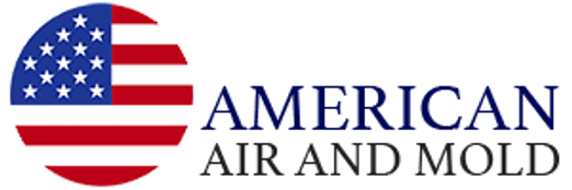 American Air and Mold