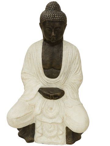 A serene Buddha statue in meditation pose with contrasting dark and light colors.