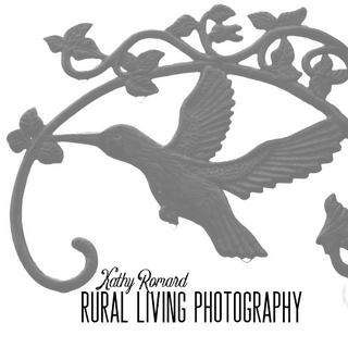 Rural Living Photographer
Kathy Romard
Out and About 