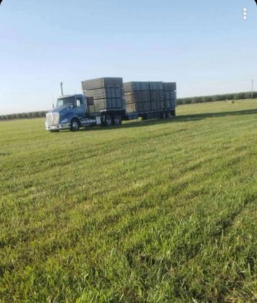 Owner Operator Transport Semi