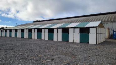 Bay Area California Cow Palace