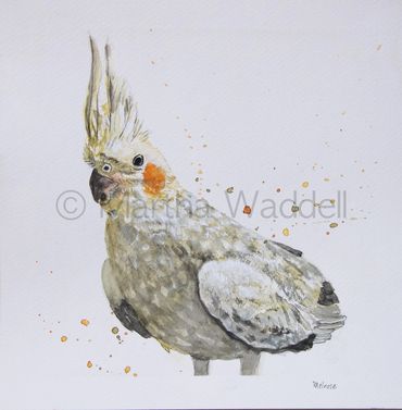 Watercolor