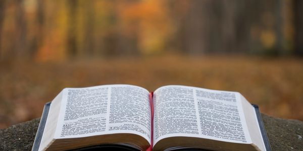 Open book on a stone surface with autumnal forest background.