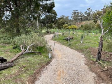 Meikles Point Discovery Walk all abilities path