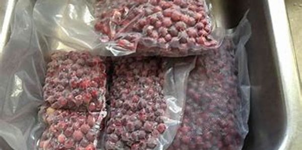 Frozen cranberries.