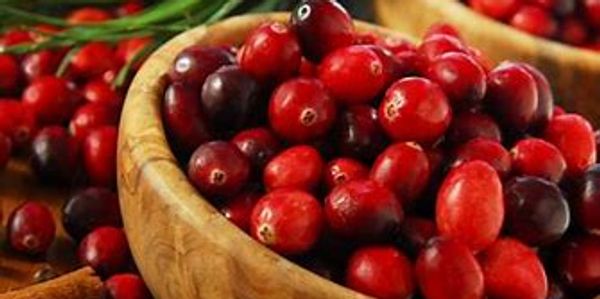 Ripened cranberries after they have been picked.