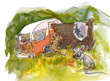 Interior image from "The Tent Mouse and the RV Mouse," a children's book about camping.