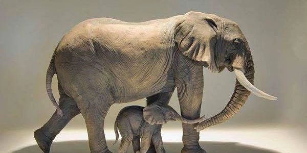 A mother elephant walking with her calf, holding its trunk gently.