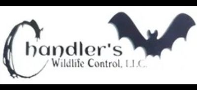 https://www.chandlerswildlifecontrolservices.com/