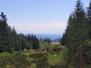 Scenic Oceanview Sites – Open and Sunny, Great for Smaller RVs