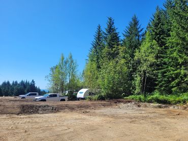 Premium Wooded RV Sites – Generously Sized with Ample Shade